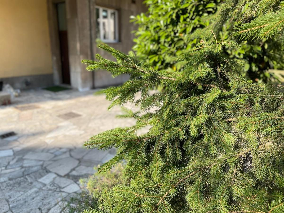 Affitti Brevi Caterina 2 Apartment Сесто Сан Джовани Екстериор снимка